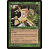 Magic: The Gathering Quirion Elves (234) Lightly Played