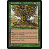 Magic: The Gathering Roots of Life (237) Heavily Played