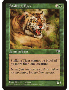 Magic: The Gathering Stalking Tiger (243) Heavily Played
