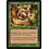Magic: The Gathering Stalking Tiger (243) Lightly Played