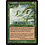 Magic: The Gathering Tropical Storm (246) Lightly Played