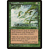 Magic: The Gathering Tropical Storm (246) Moderately Played