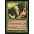 Magic: The Gathering Wild Elephant (254) Moderately Played