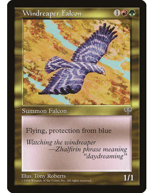 Magic: The Gathering Windreaper Falcon (289) Heavily Played