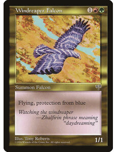 Magic: The Gathering Windreaper Falcon (289) Lightly Played