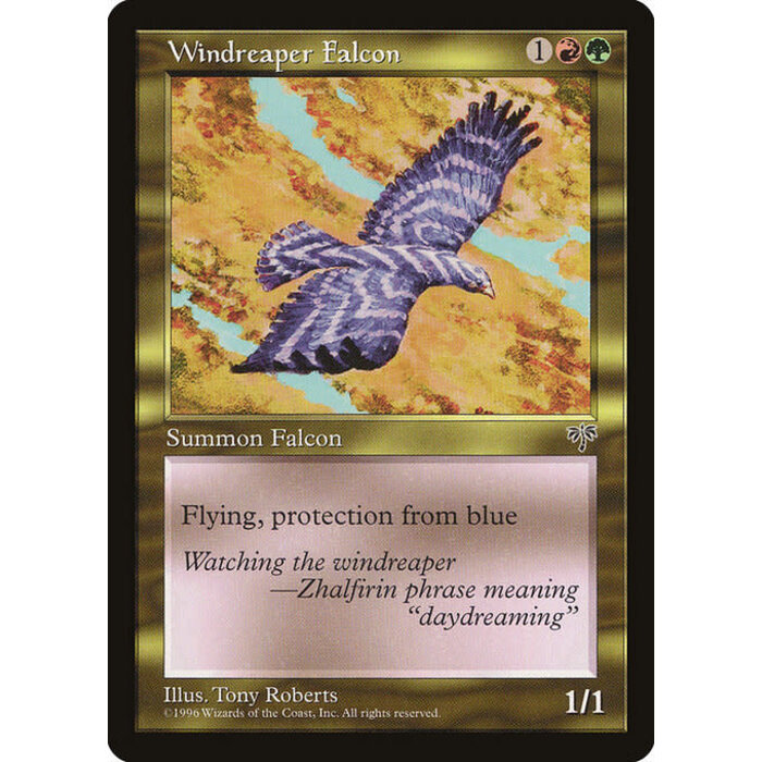 Magic: The Gathering Windreaper Falcon (289) Lightly Played