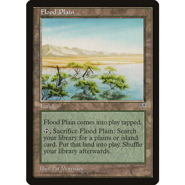 Magic: The Gathering Flood Plain (326) Heavily Played