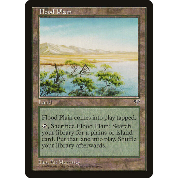 Magic: The Gathering Flood Plain (326) Heavily Played