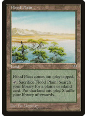 Magic: The Gathering Flood Plain (326) Moderately Played