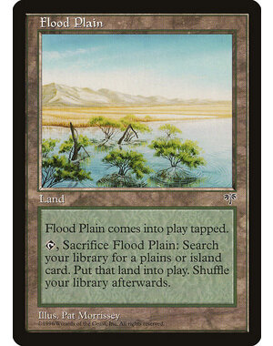 Magic: The Gathering Flood Plain (326) Moderately Played