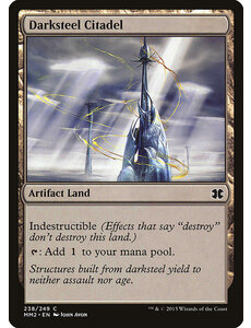 Magic: The Gathering Darksteel Citadel (238) Near Mint