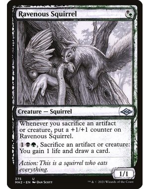 Magic: The Gathering Ravenous Squirrel (Showcase) (375) Lightly Played
