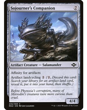 Magic: The Gathering Sojourner's Companion (235) Near Mint