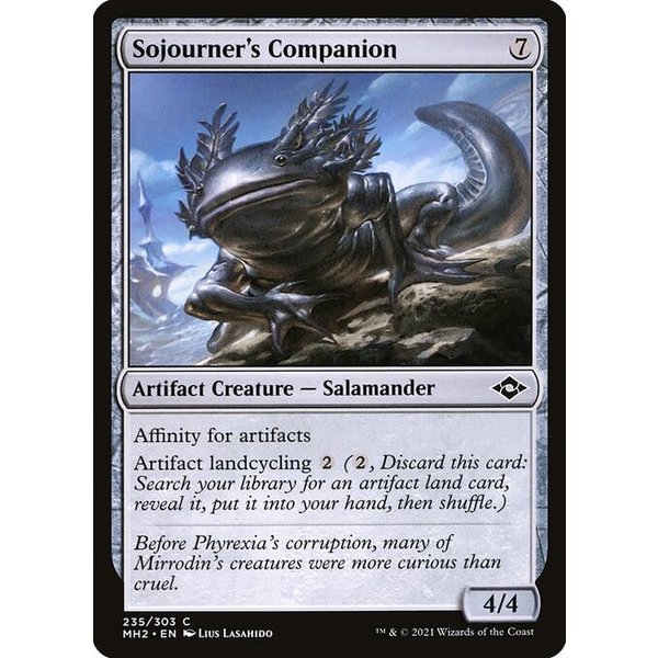 Magic: The Gathering Sojourner's Companion (235) Near Mint