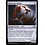 Magic: The Gathering Sanctuary Raptor (233) Near Mint