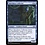 Magic: The Gathering Specimen Collector (064) Near Mint Foil