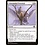 Magic: The Gathering Unbounded Potential (036) Near Mint Foil