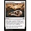 Magic: The Gathering Scour the Desert (028) Near Mint