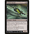 Magic: The Gathering Caustic Hound (040) Moderately Played