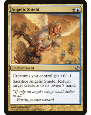 Magic: The Gathering Angelic Shield (048) Moderately Played