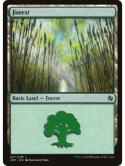 Magic: The Gathering Forest (77) (077) Near Mint