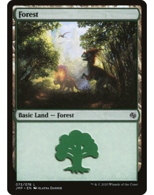 Magic: The Gathering Forest (73) (073) Near Mint