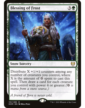 Magic: The Gathering Blessing of Frost (161) Near Mint