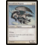 Magic: The Gathering Stormfront Pegasus (000) Lightly Played Foil