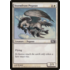 Magic: The Gathering Stormfront Pegasus (000) Lightly Played Foil