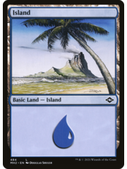 Magic: The Gathering Island (484) (Foil Etched) (484) Near Mint Foil