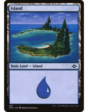 Magic: The Gathering Island (483) (483) Near Mint