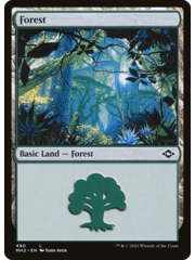 Magic: The Gathering Forest (490) (490) Lightly Played
