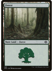 Magic: The Gathering Forest (489) (Foil Etched) (489) Near Mint Foil