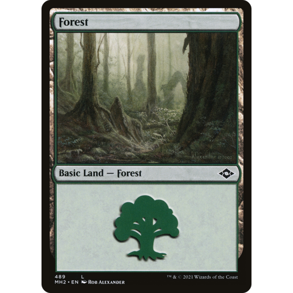 Magic: The Gathering Forest (489) (Foil Etched) (489) Near Mint Foil