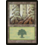 Magic: The Gathering Forest  (350) Moderately Played