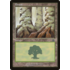Magic: The Gathering Forest  (350) Moderately Played