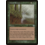 Magic: The Gathering Desert Twister (234) Moderately Played