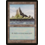 Magic: The Gathering Island (299) Heavily Played