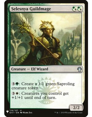 Magic: The Gathering Selesnya Guildmage (1532) Near Mint