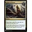 Magic: The Gathering Urban Evolution (1504) Near Mint