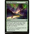 Magic: The Gathering Seek the Horizon (1328) Near Mint