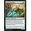 Magic: The Gathering Jungle Wayfinder (1246) Near Mint