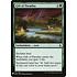 Magic: The Gathering Gift of Paradise (1221) Near Mint