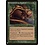 Magic: The Gathering Chatter of the Squirrel (1161) Near Mint