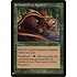 Magic: The Gathering Chatter of the Squirrel (1161) Near Mint