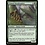 Magic: The Gathering Citanul Woodreaders (1162) Near Mint