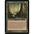 Magic: The Gathering Ana Sanctuary (1118) Near Mint