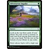 Magic: The Gathering Adventurous Impulse (1110) Near Mint