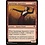 Magic: The Gathering Sparkmage Apprentice (1063) Near Mint
