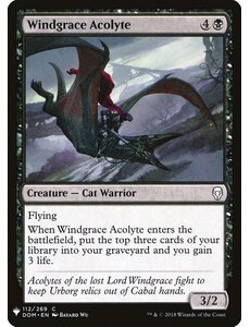 Magic: The Gathering Windgrace Acolyte (827) Near Mint